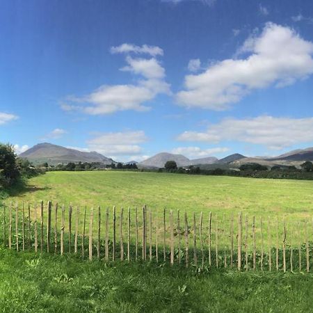 Willowtree Glamping Mournes Villa Annalong Dış mekan fotoğraf