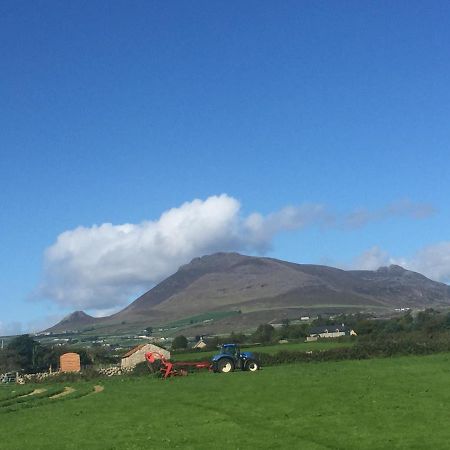 Willowtree Glamping Mournes Villa Annalong Dış mekan fotoğraf