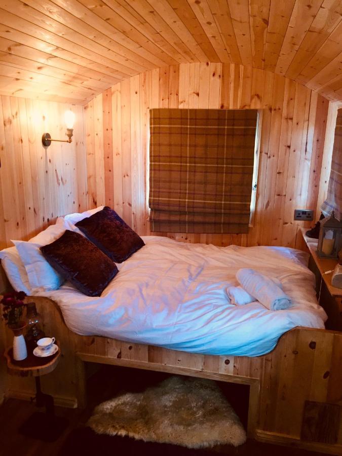 Willowtree Glamping Mournes Villa Annalong Dış mekan fotoğraf