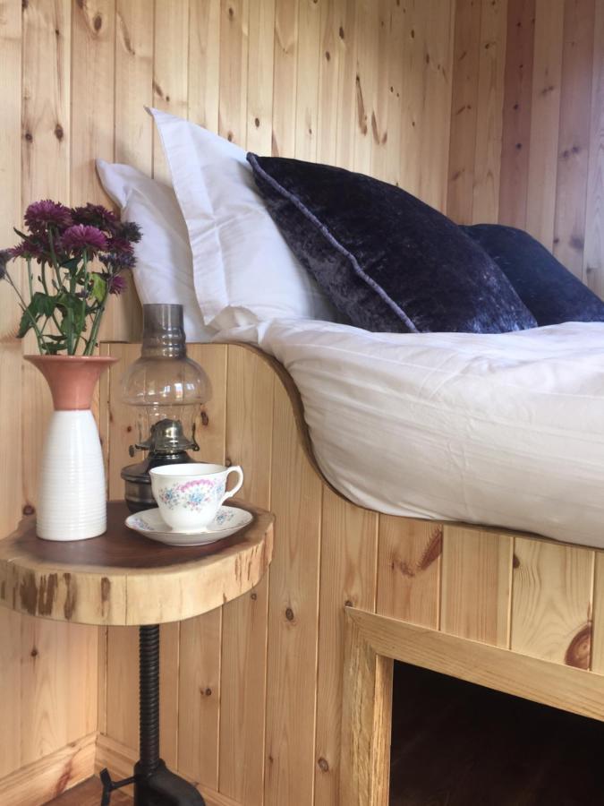 Willowtree Glamping Mournes Villa Annalong Dış mekan fotoğraf
