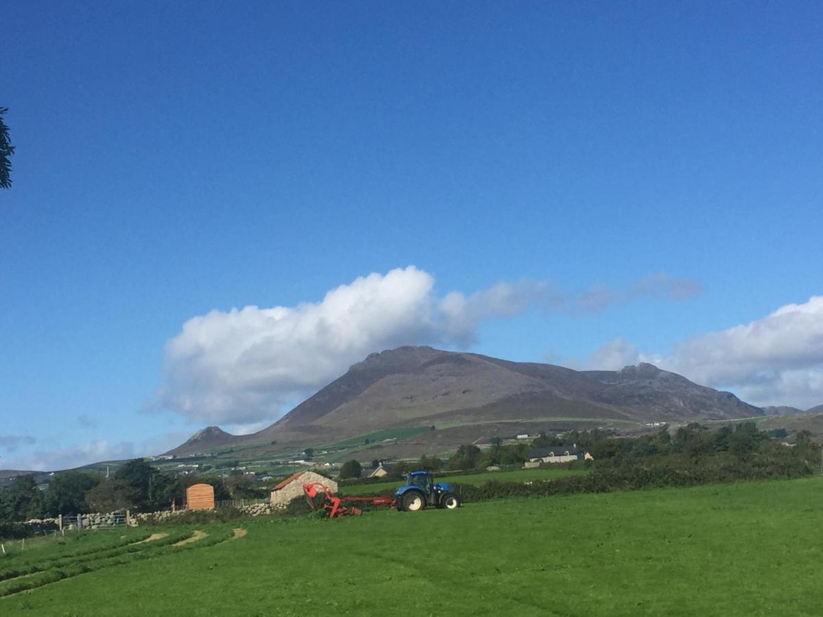 Willowtree Glamping Mournes Villa Annalong Dış mekan fotoğraf